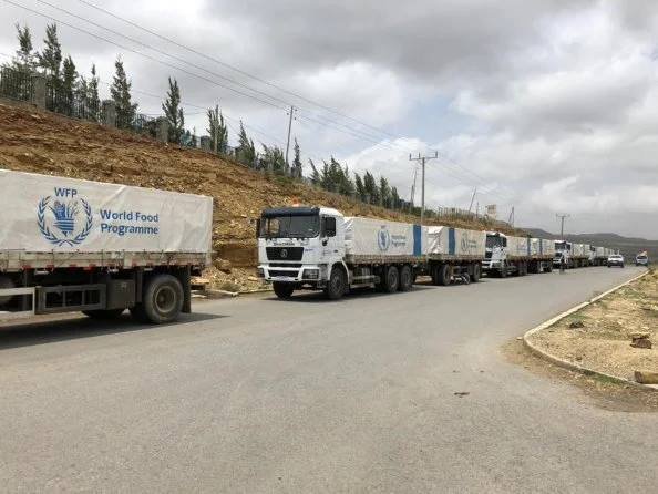 A convoy of food-assistance trucks on the road